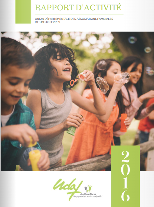 rapport d'activité 2016